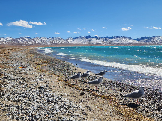 Journey2Xizang-拉萨市必去景点