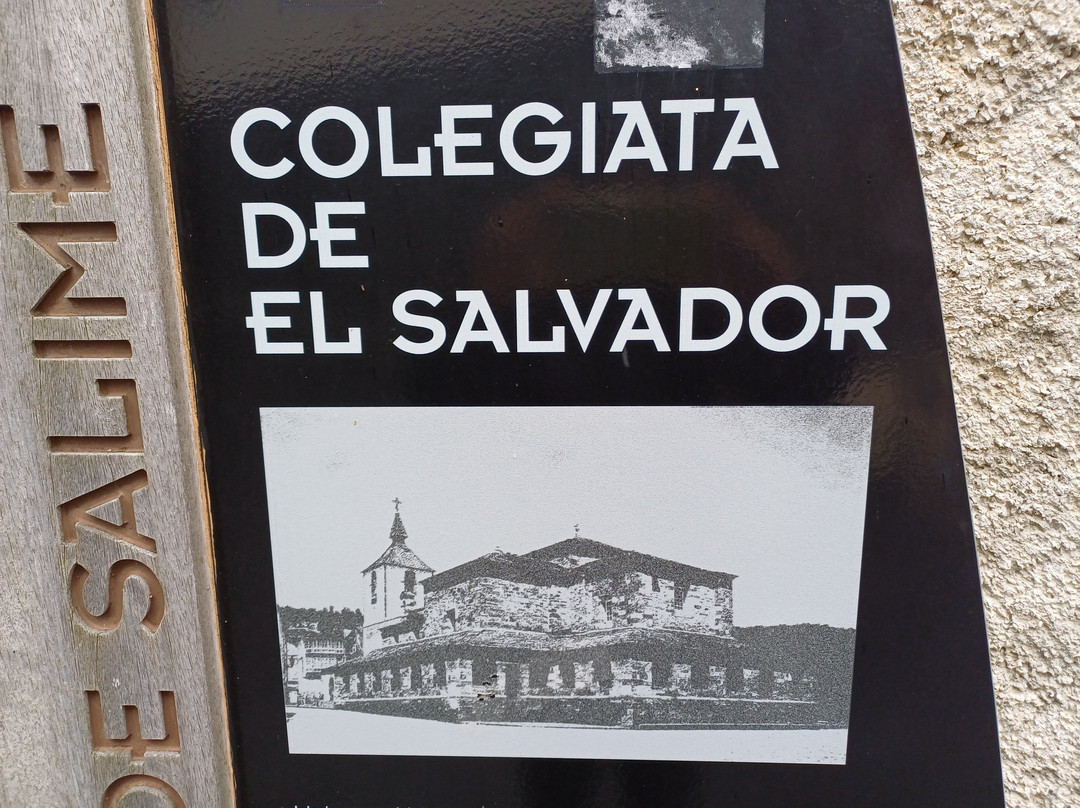 Iglesia Colegiata de San Salvador景点图片