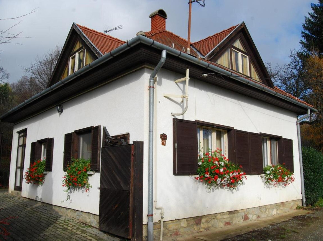Boroka Apartmanhazak - Fagyongy House