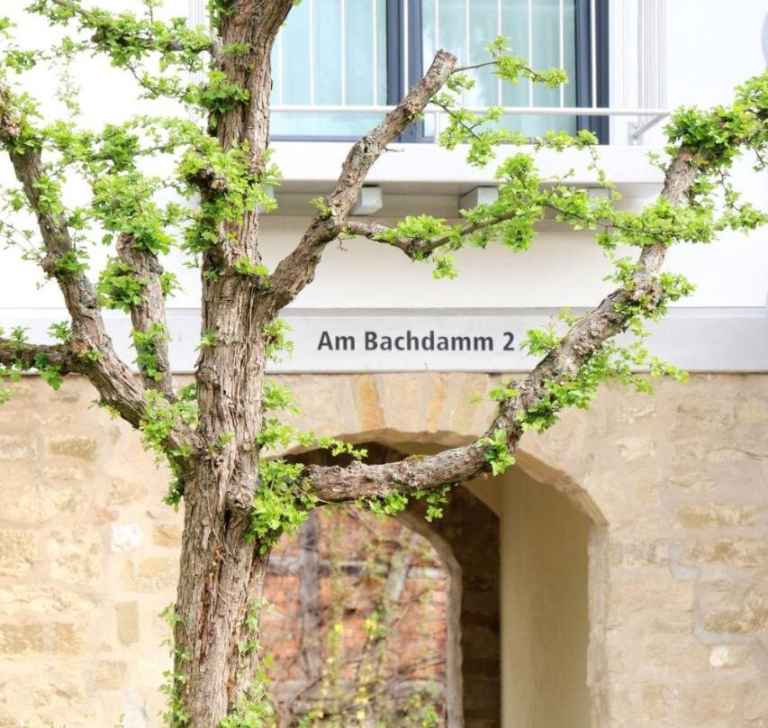 Alte Stadtmauer Apartment