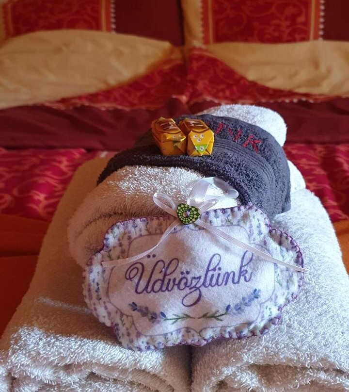 Fruzsi Vendeghaz