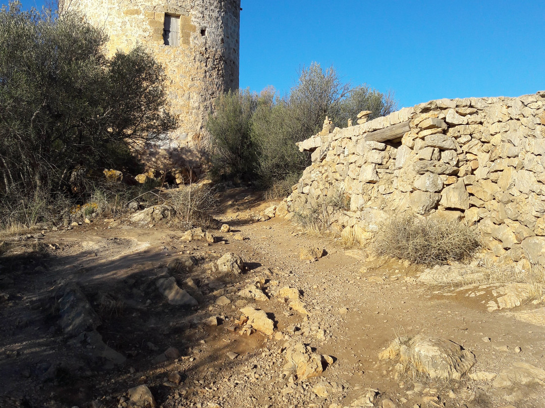 Camp de Mar Beach景点图片