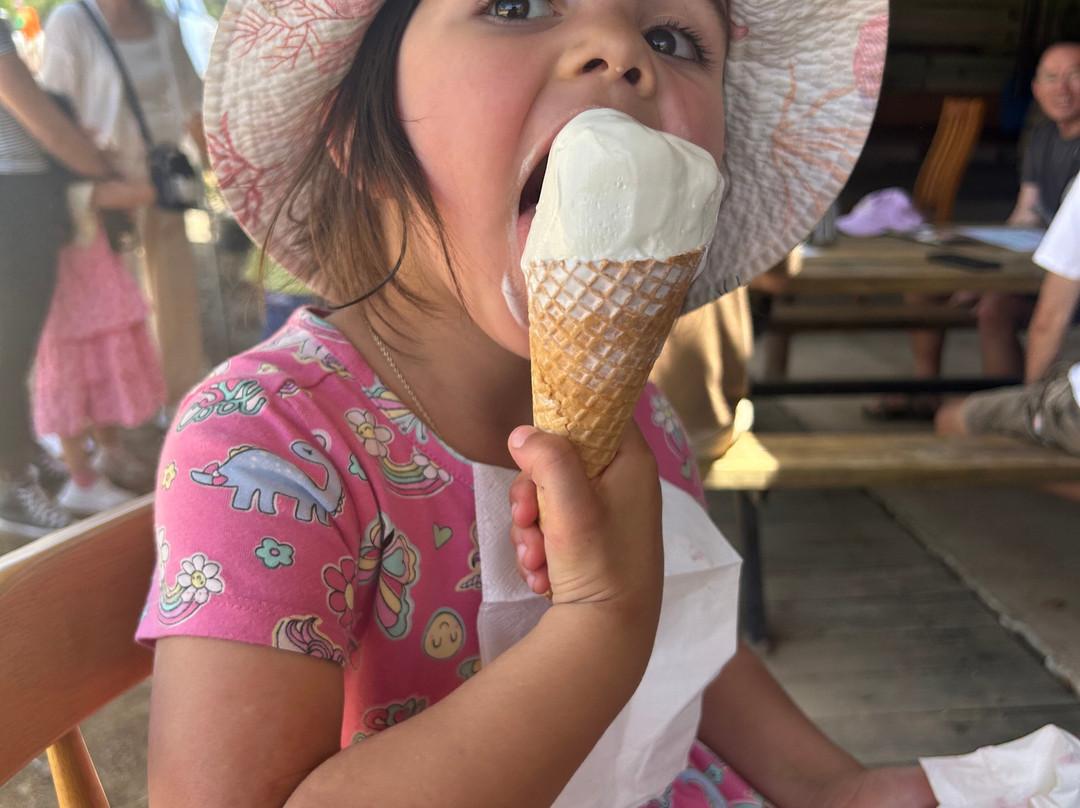 Ballinaclash Fruit & Wine-Young必去景点