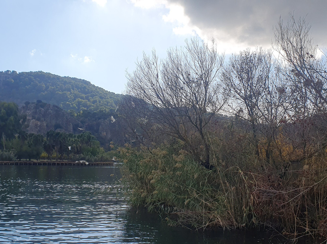 Dalyan Villa Kiydan Boat Tours景点图片