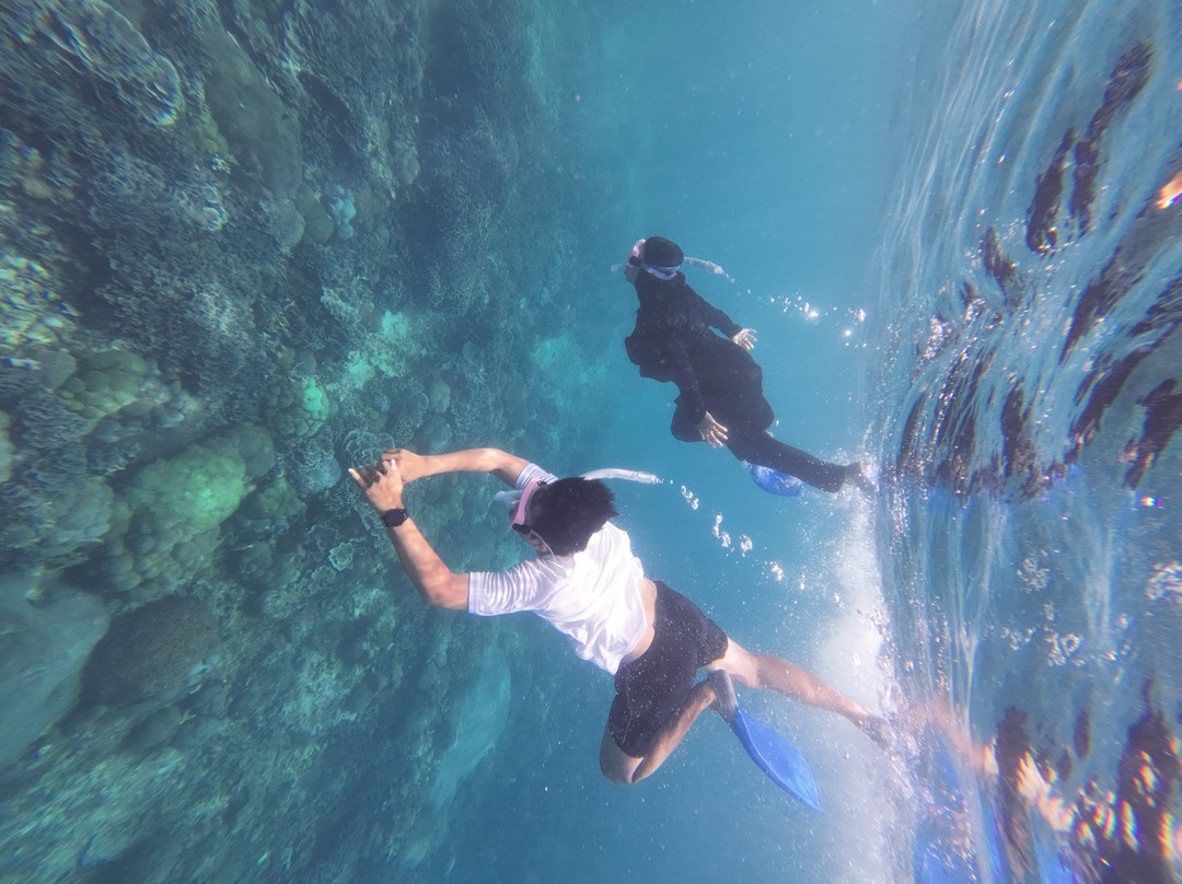 Manta Discovery-Ped必去景点