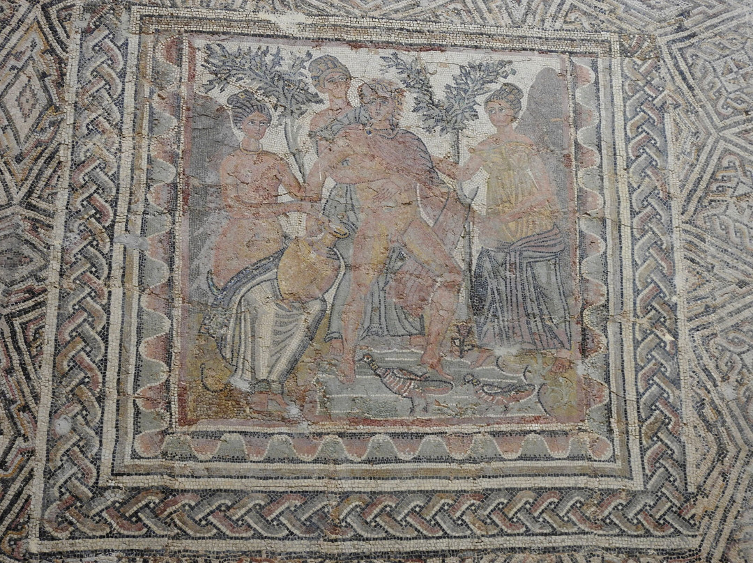Djemila Museum景点图片
