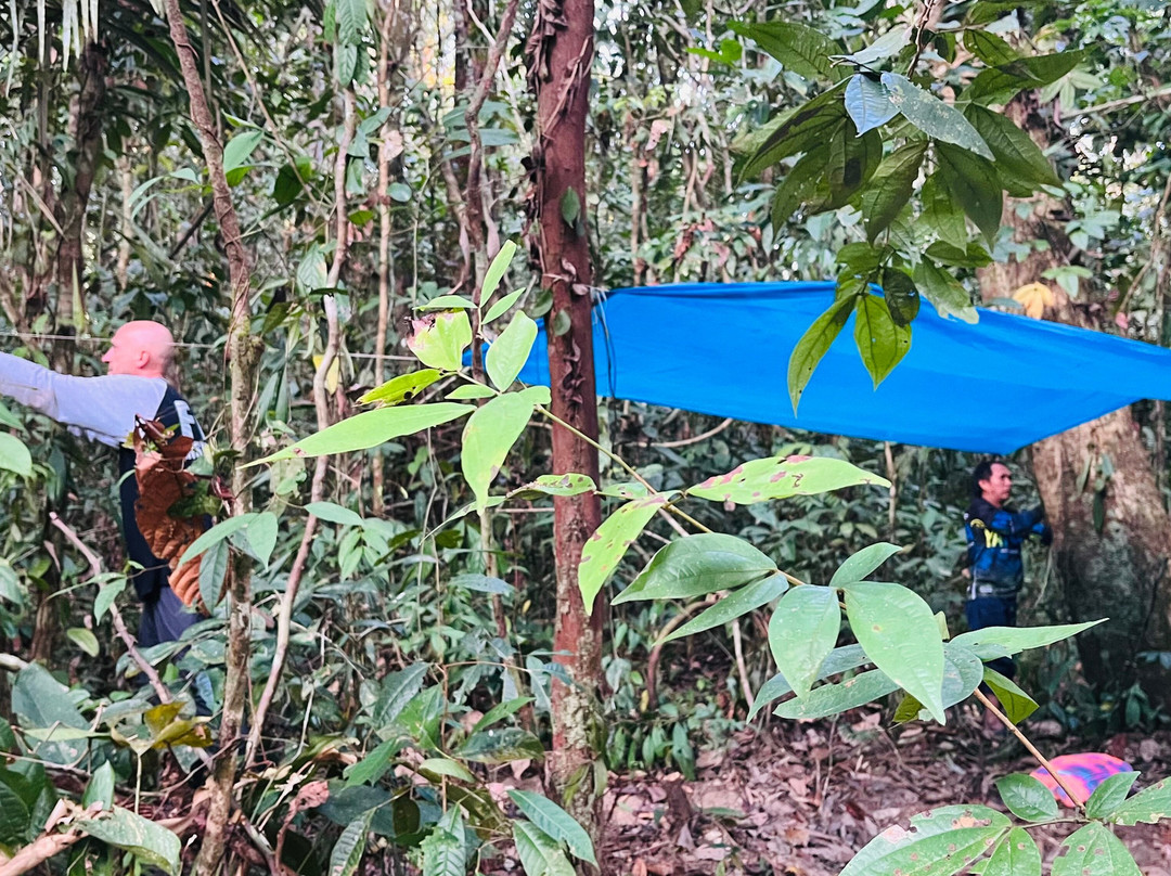 Selvaventura Colombia景点图片