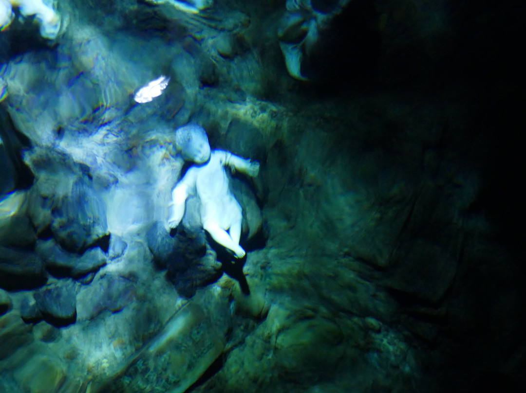 Grotta dello Smeraldo (Emerald Grotto)-波西塔诺必去景点