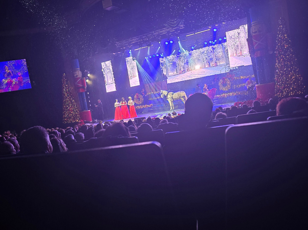 The Carolina Opry-美特尔海滩必去景点