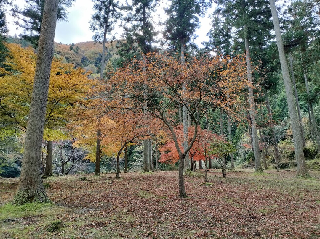 Tara Canyon-大垣市必去景点