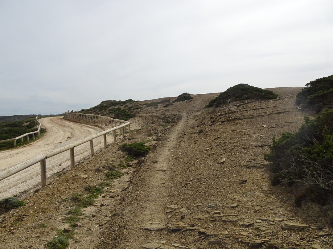 Parque Natural do Sudoeste Alentejano e Costa Vicentina-阿尔加威必去景点