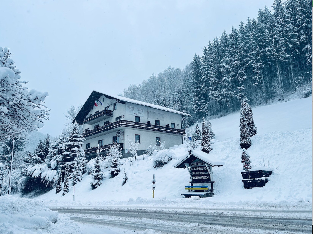 St. Jakob im Walde酒店住宿-Gasthof Alpenpension
