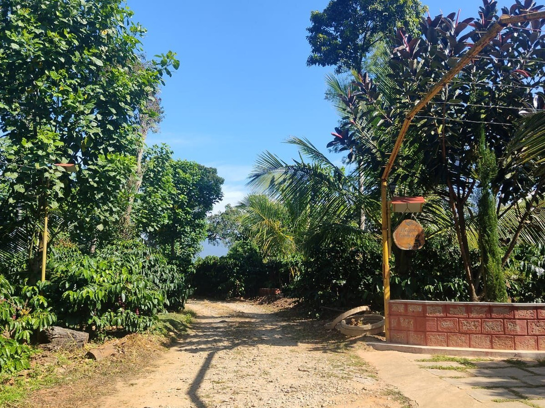 Heights Farm Stay | Coffee Estate Stay主图
