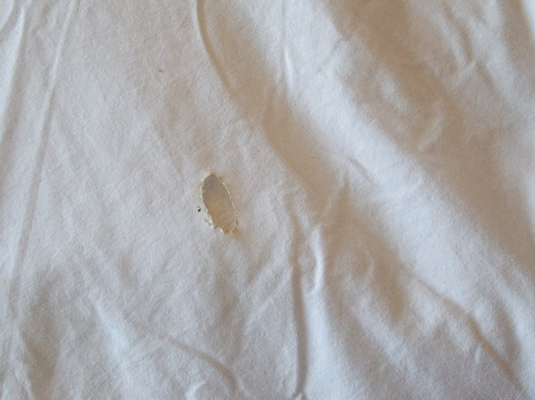 Budget Inn and Suites主图