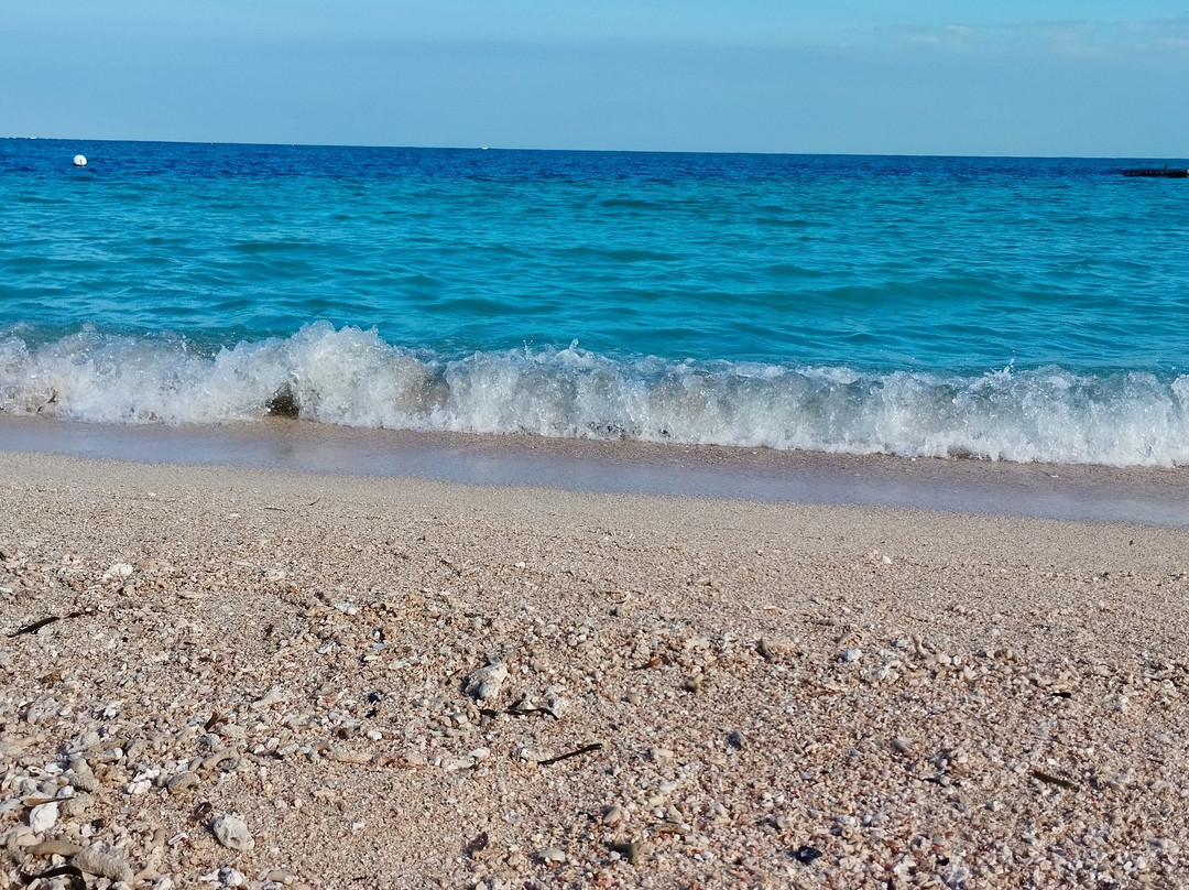 Isla De Enmedio-Boca del Rio必去景点