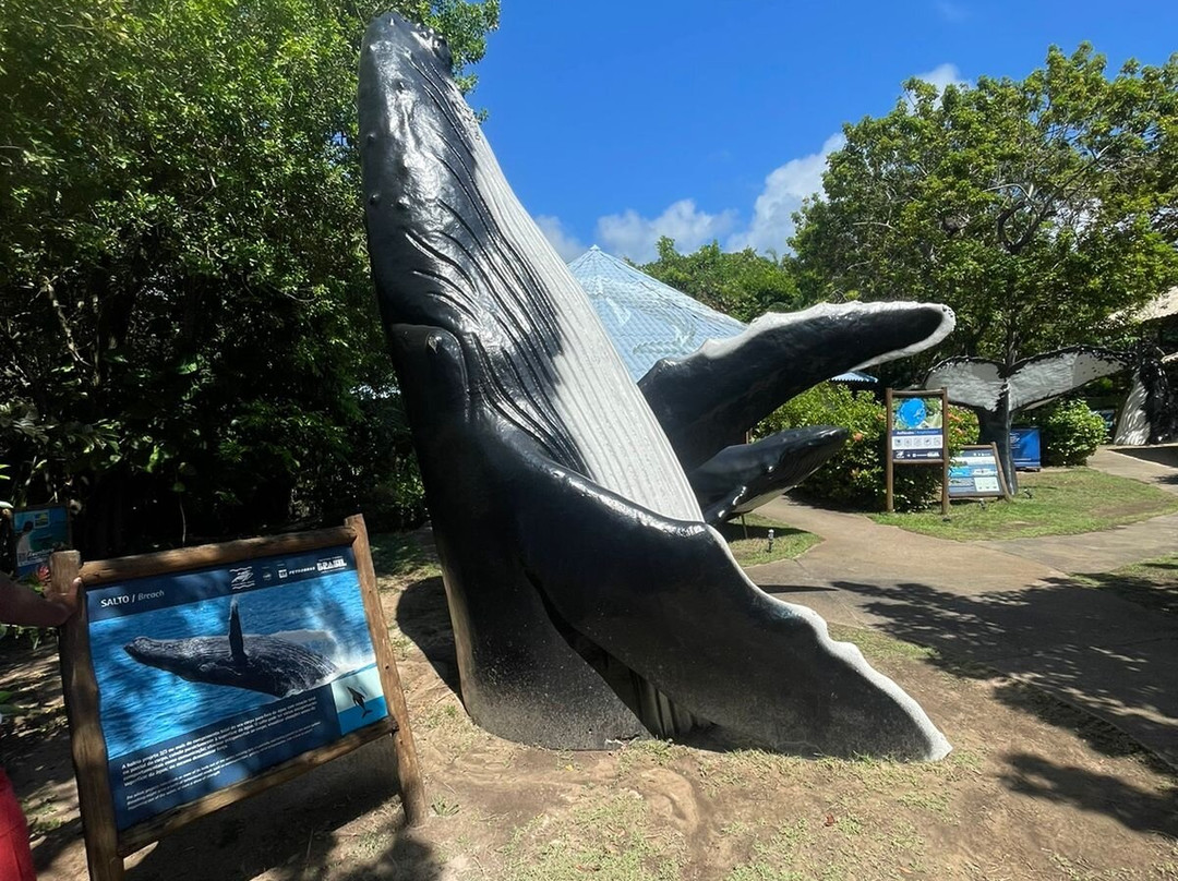 Centro de Visitantes Espaço Baleia Jubarte-普拉亚多海滩必去景点