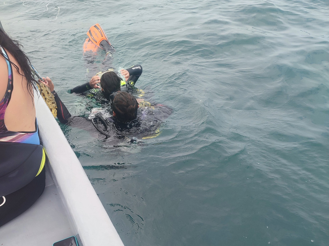 Chelonia Dive Center-Organos必去景点