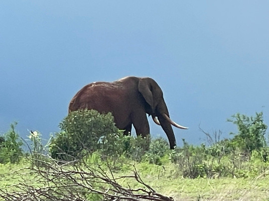 Travel Solutions Kenya-瓦塔木必去景点