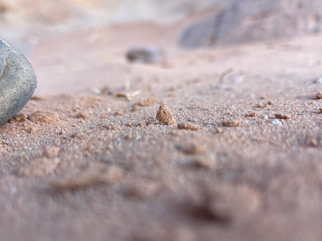 Kinda Travel and Tourism-安曼必去景点