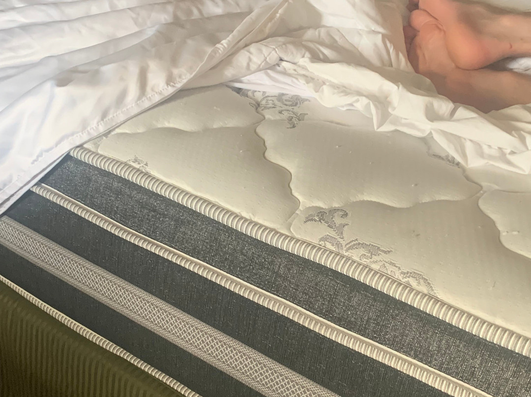 Cobblestone Inn & Suites - Pine Bluffs主图