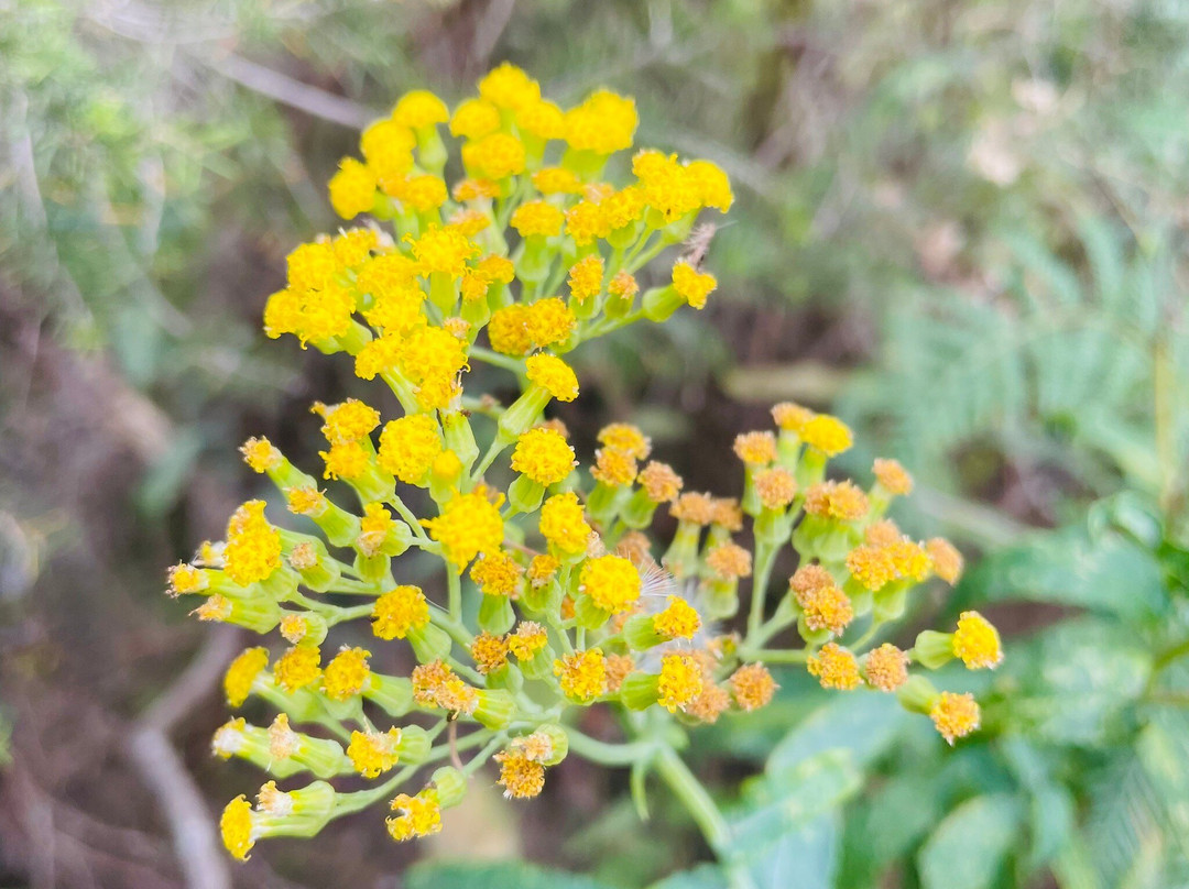 Lake Coleman State Game Reserve-Golden Beach必去景点
