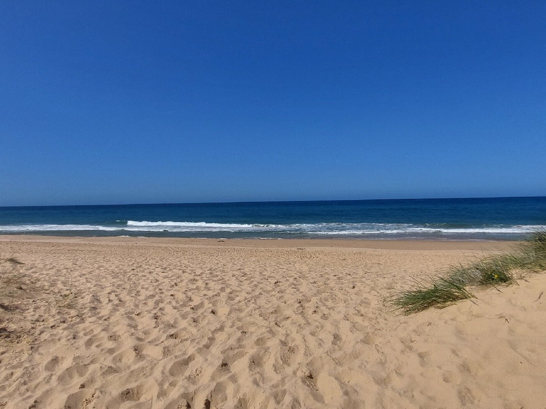 Lake Tyers State Park-Lake Tyers必去景点
