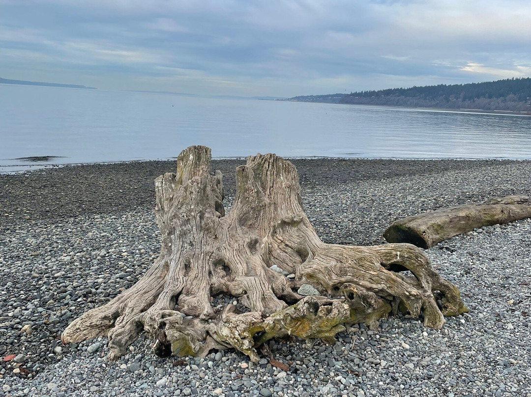 Carkeek Park-西雅图必去景点