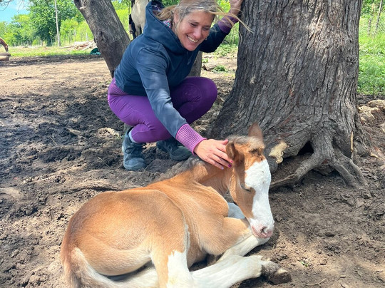 Hípico Don Sixto-Zelaya必去景点