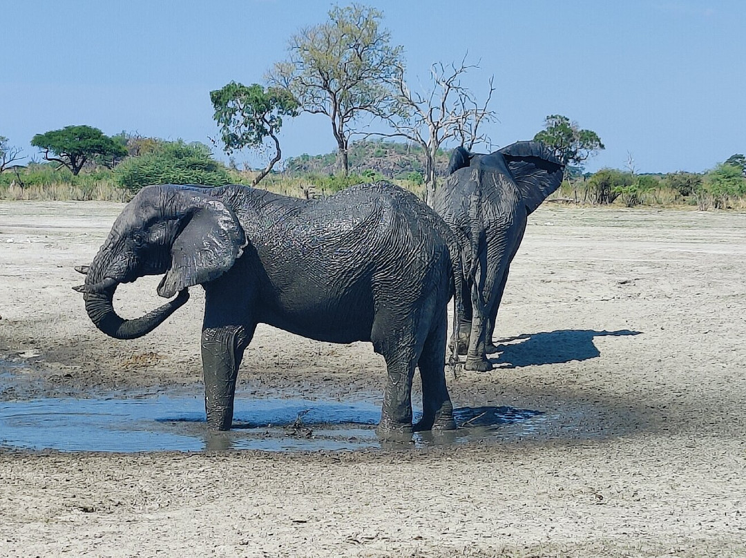 Leon Safaris-卡萨尼必去景点
