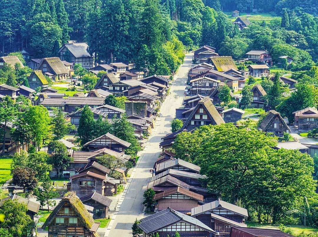 Wild Tour Japan-港区必去景点