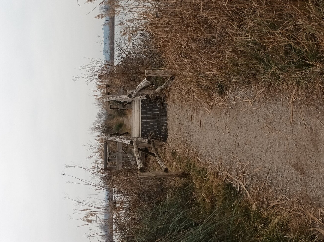 Torbiere del Sebino景点图片