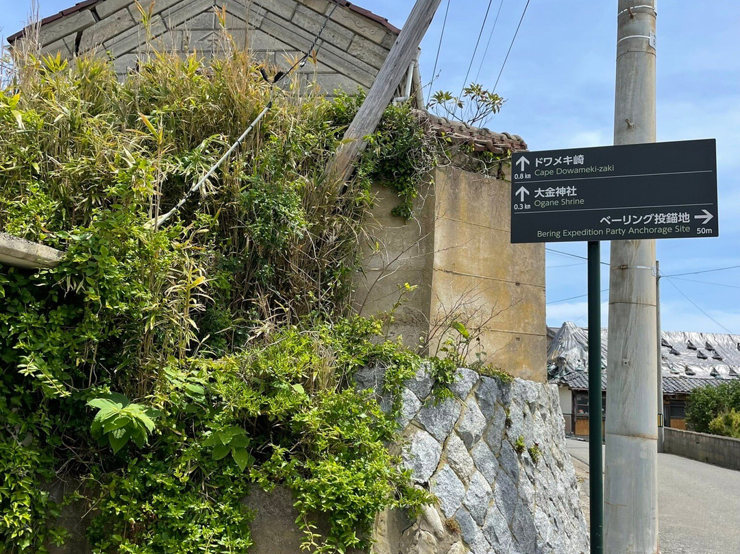 Dowameki Cape-石卷市必去景点