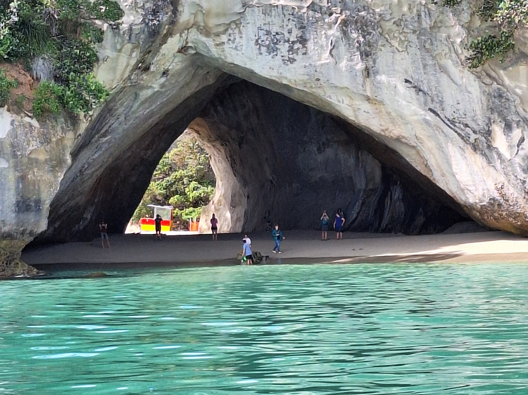 Cathedral Cove Scenic Cruises-菲蒂昂格必去景点