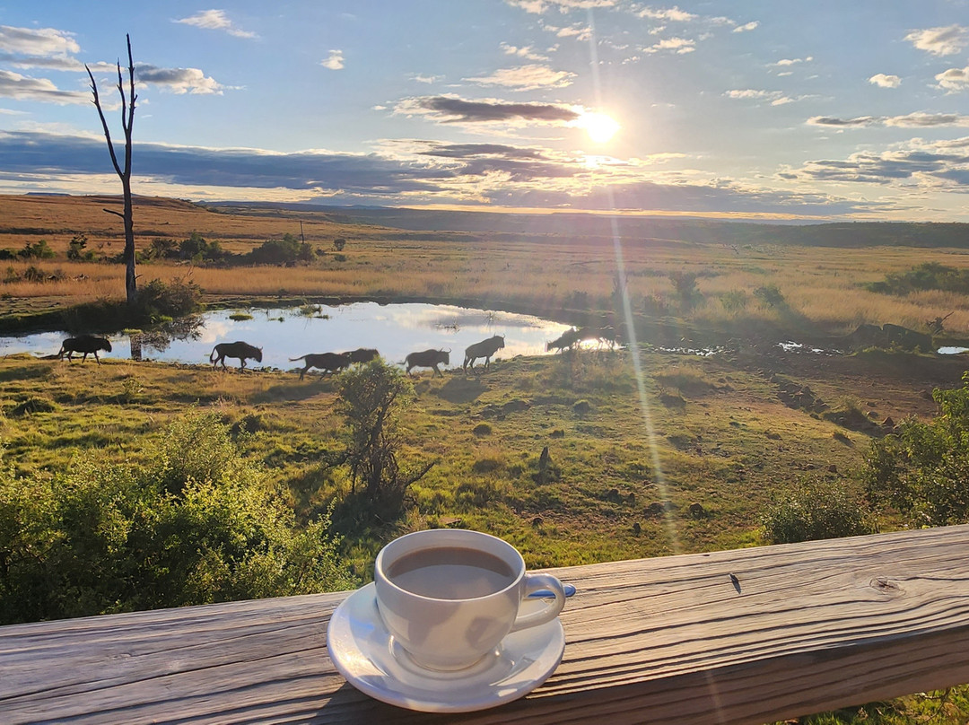 Nambiti Plains Private Game Lodge