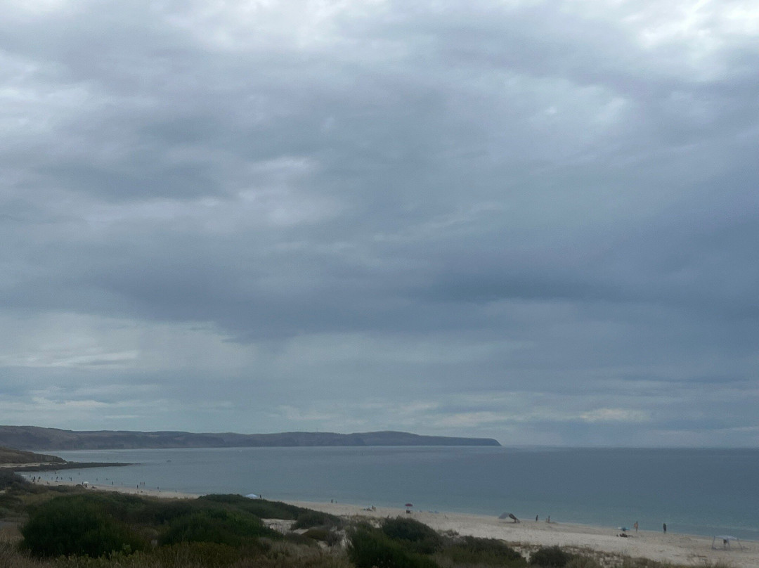 Carrickalinga Beach景点图片