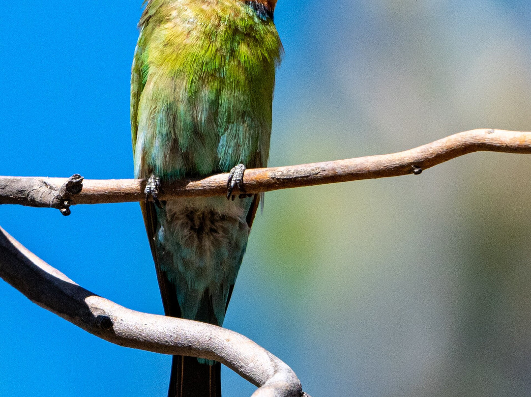 Adventure Art Photography-汉道夫德国村必去景点