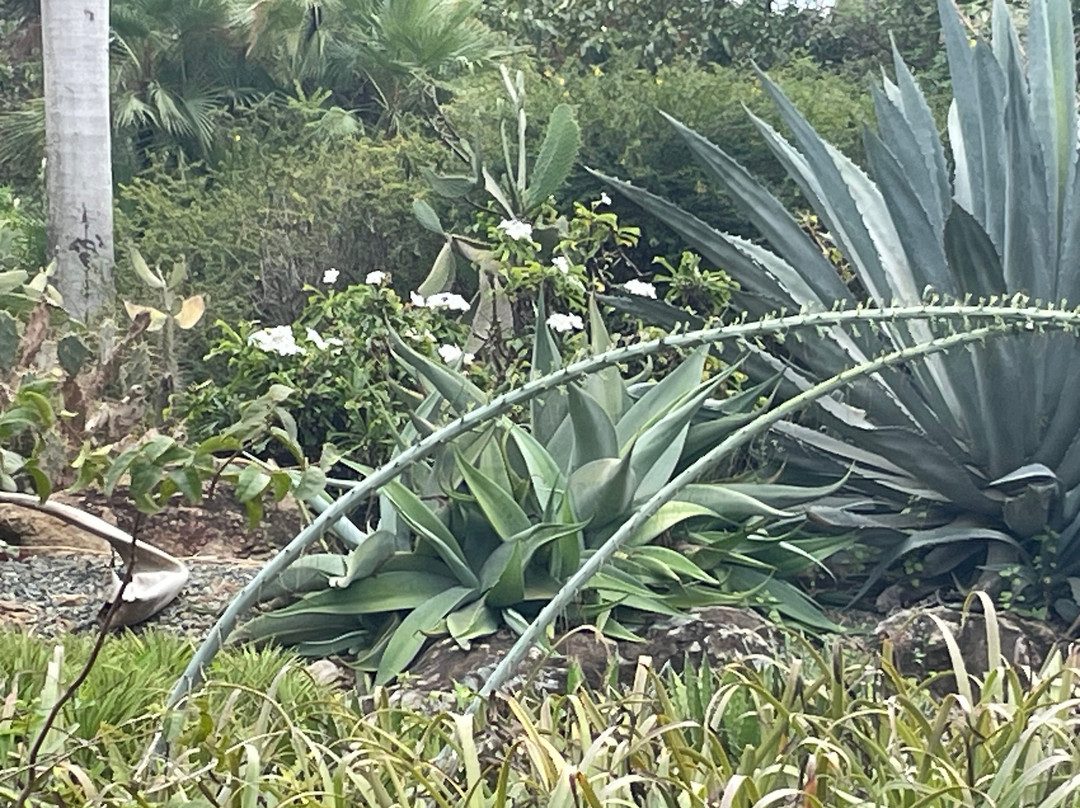 J.R. O'Neal Botanical Gardens-Road Town必去景点