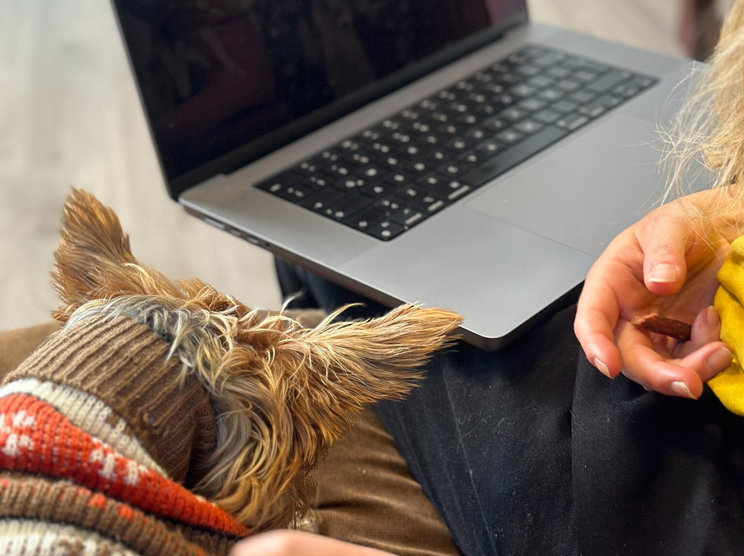 La Quinta by Wyndham Quito主图