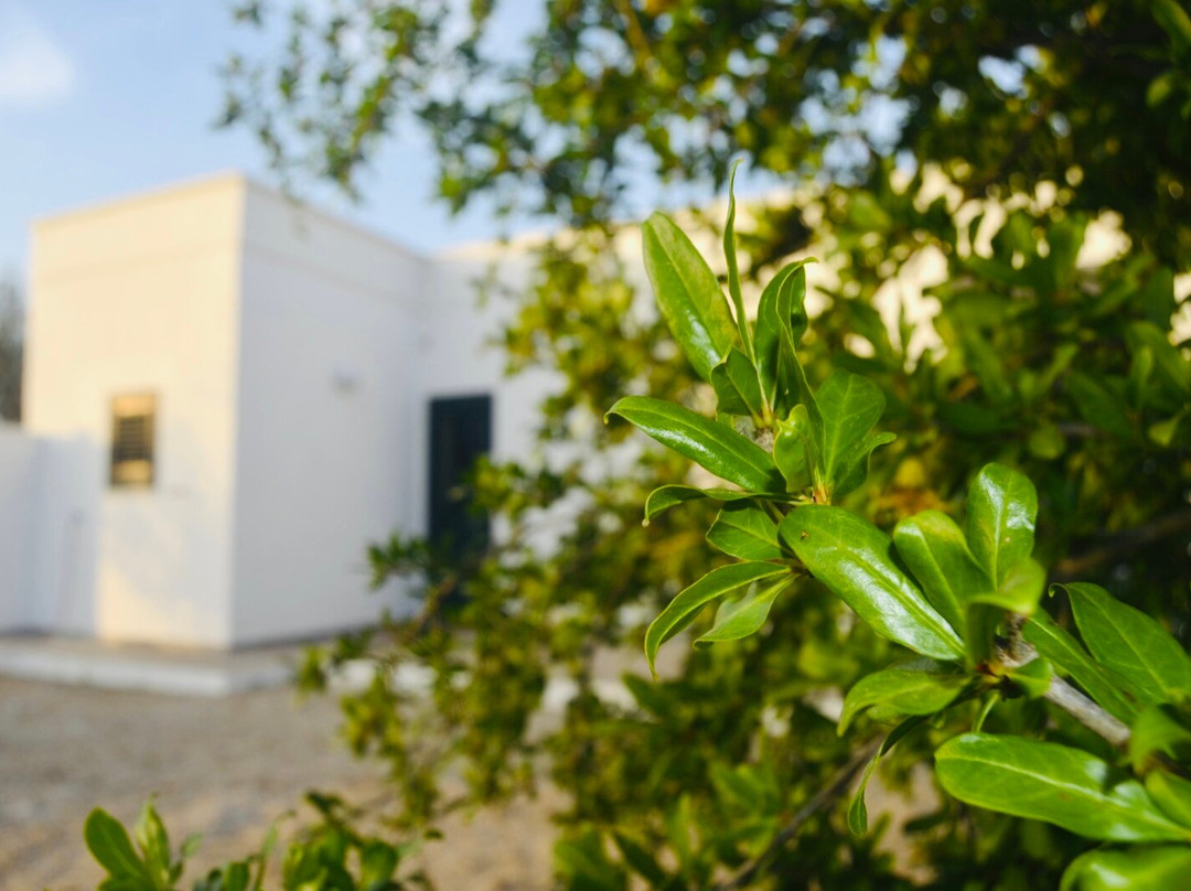 Tenuta Don Vittorio B&B主图