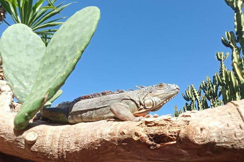 Globale Explore Tours-阿加迪尔必去景点