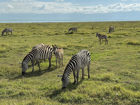 AstazTravel-桑给巴尔市必去景点