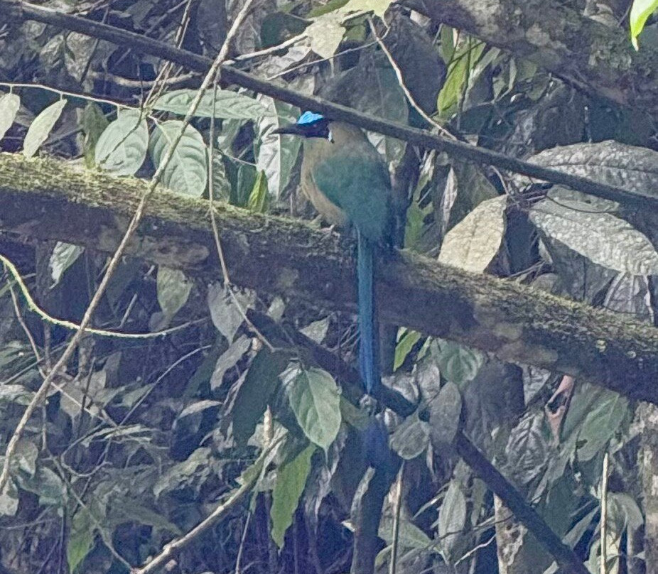 Kasaguadua Natural Reserve-萨伦托必去景点