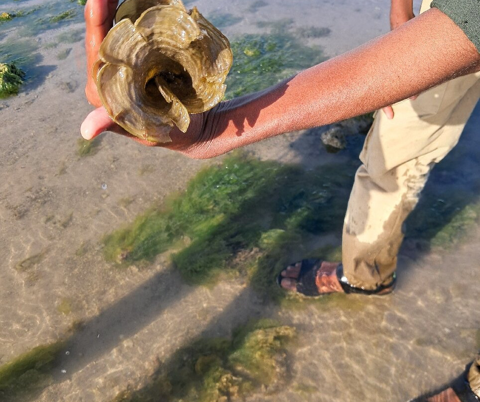 Narara Marine National Park景点图片