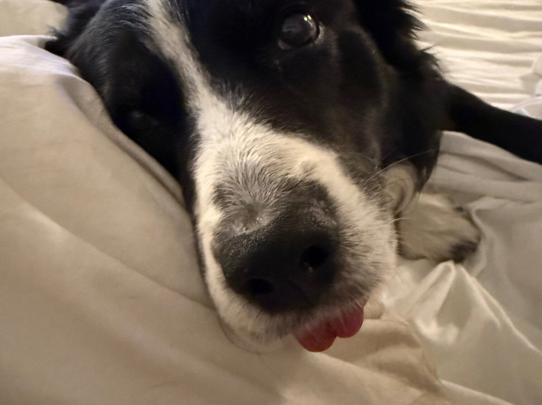 卡拉巴萨斯希尔顿花园酒店主图