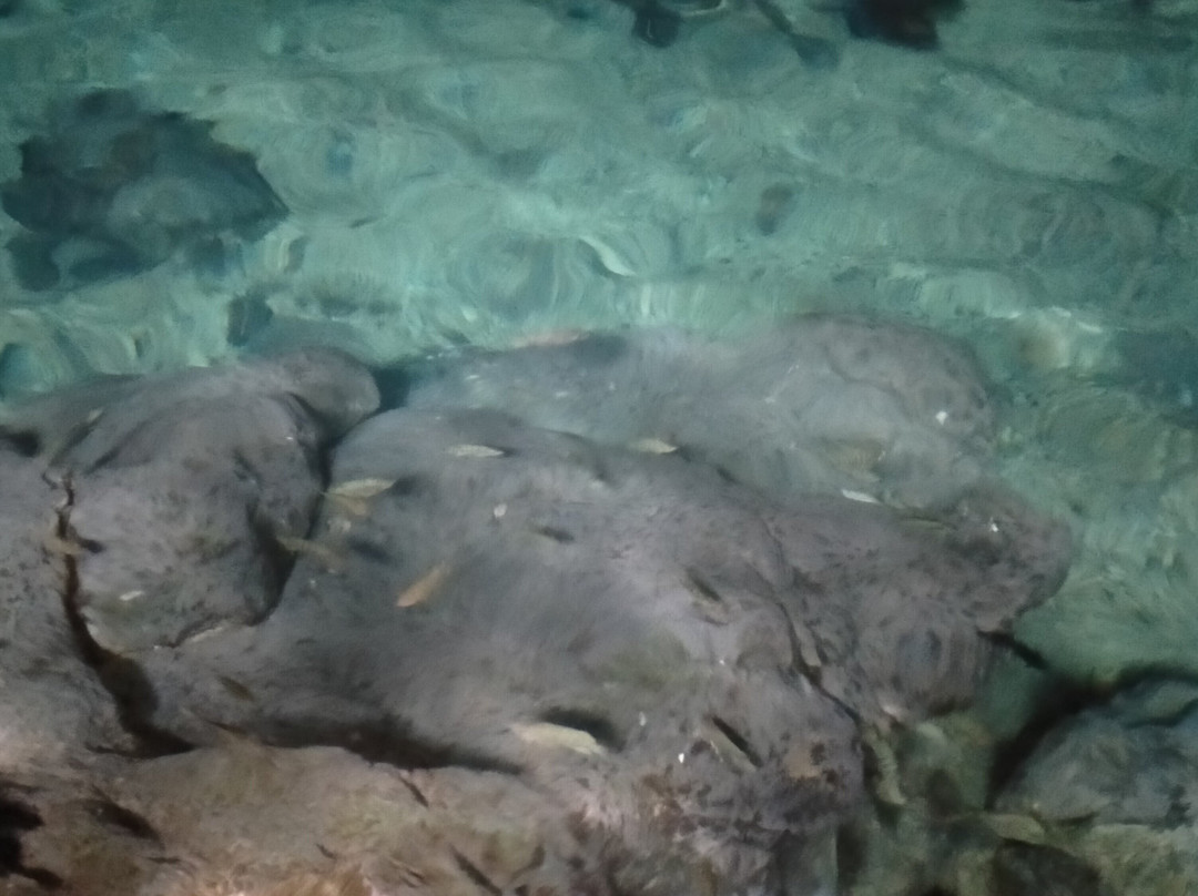 Cenote Tza-Ujun-Kat-Homun必去景点