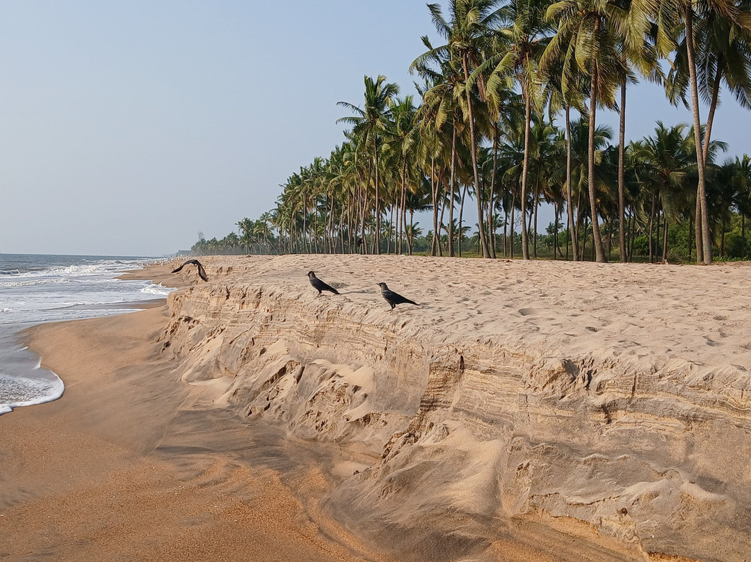 Meiveda Ayurveda Beach Resort主图