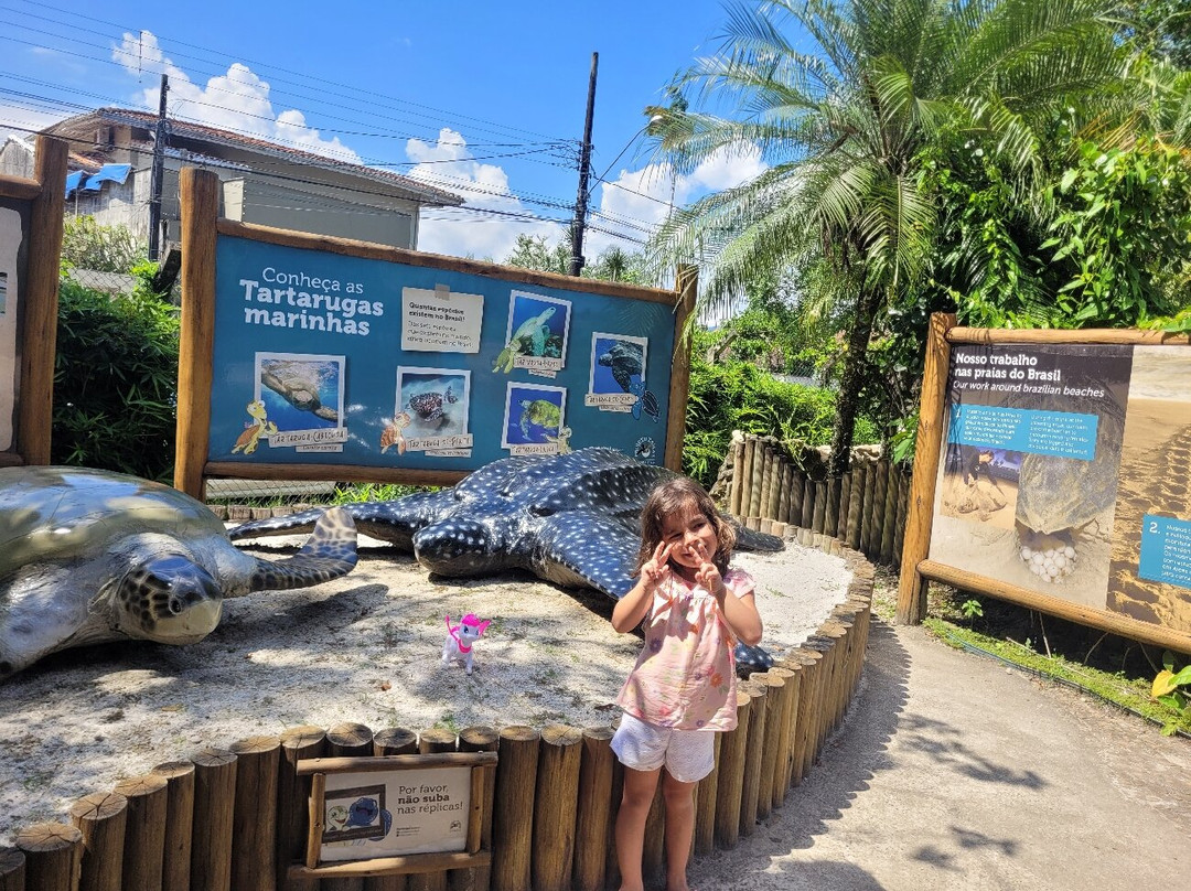 Projeto Tamar-乌巴图巴必去景点