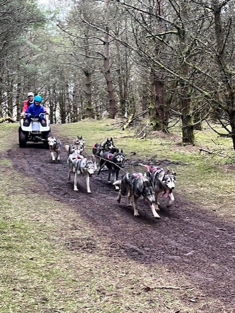 Bowland Trails-Blairgowrie必去景点