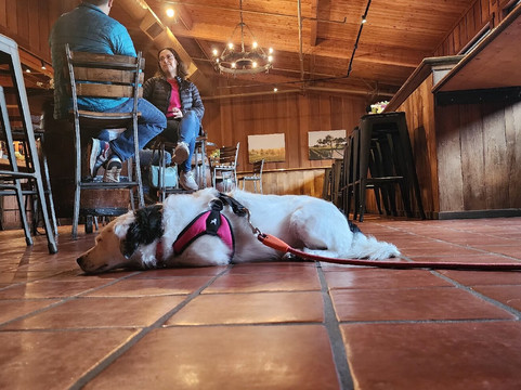 Firestone Vineyard-洛斯奥利沃斯必去景点