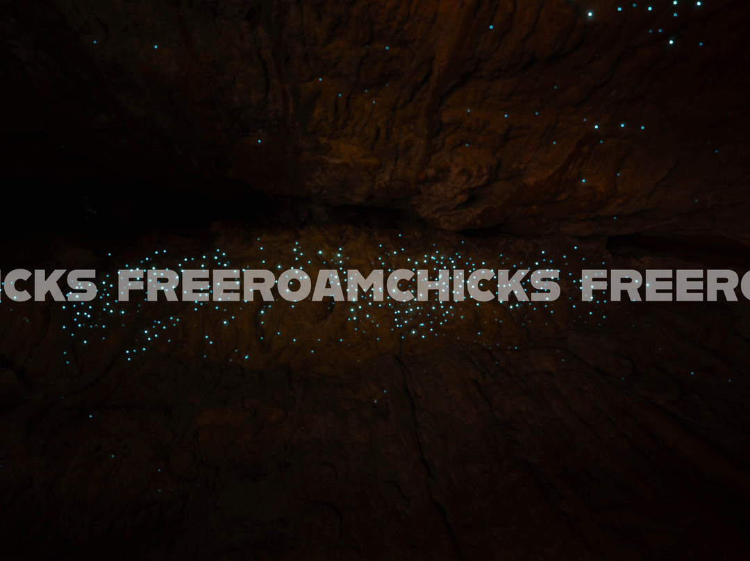 Limestone Creek Glow Worms Caves景点图片